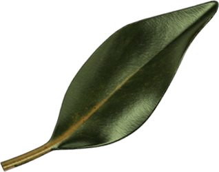 Background decoration leaf